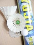 羽佳YuJia A555 比赛级 A级羽毛球